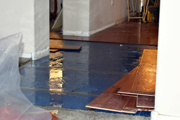 Professional Burst Pipe Cleanup technician working in Wood River, IL